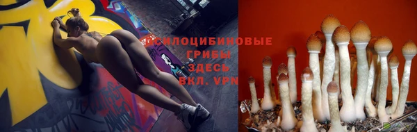 mdpv Арсеньев