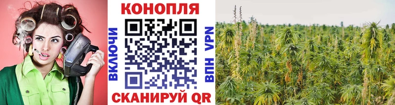 хочу   Баймак  Канабис семена 